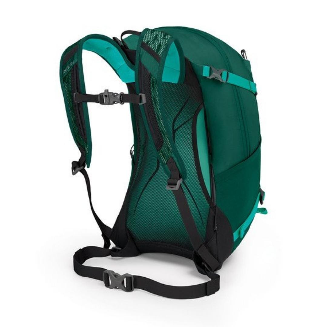 sac à dos osprey hikelite 26 couleur aloe green vue du dos du sac avec bretelle ajustables et ceinture d'Attache