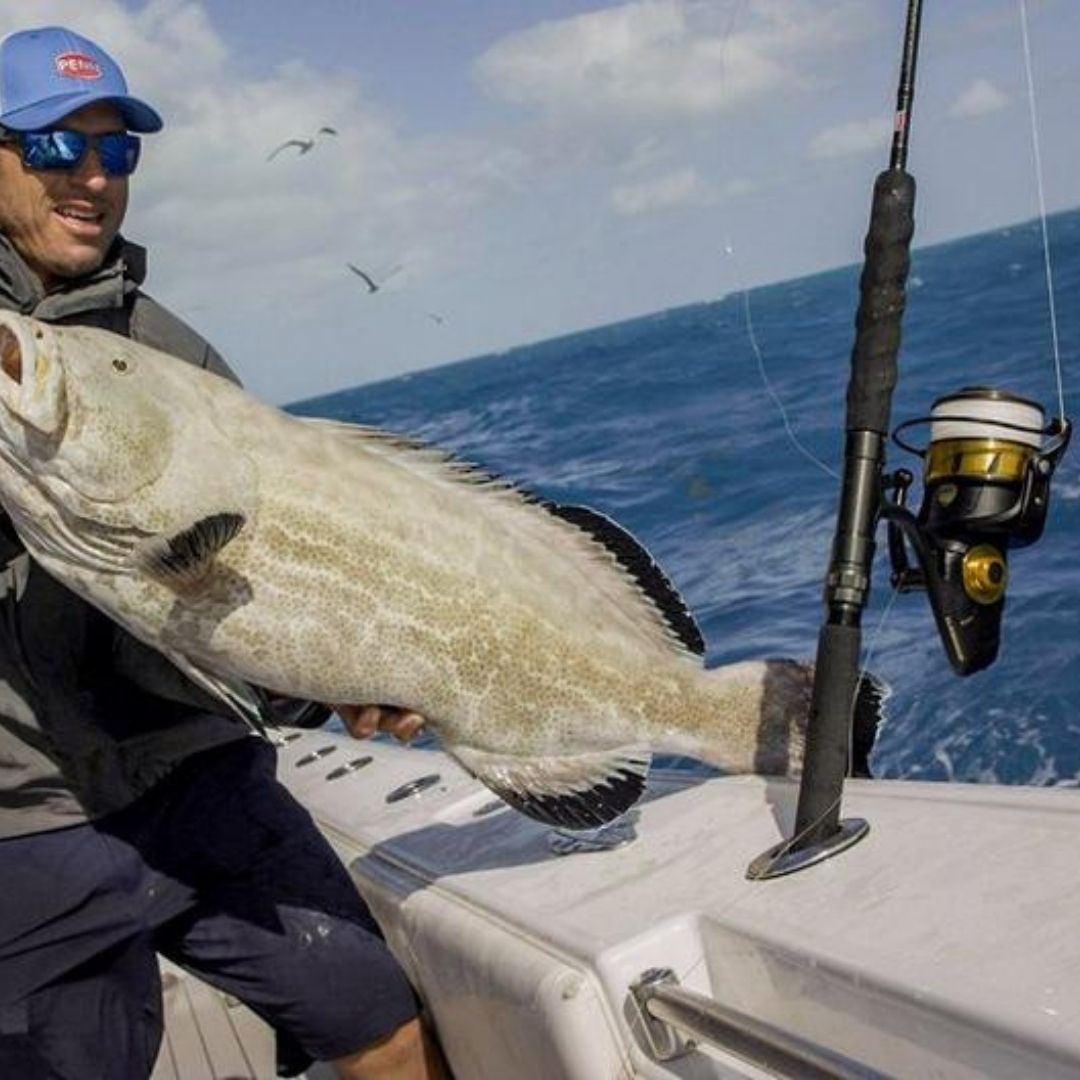 prise d'un gros poisson avec le MOULINET PENN SPINFISHER