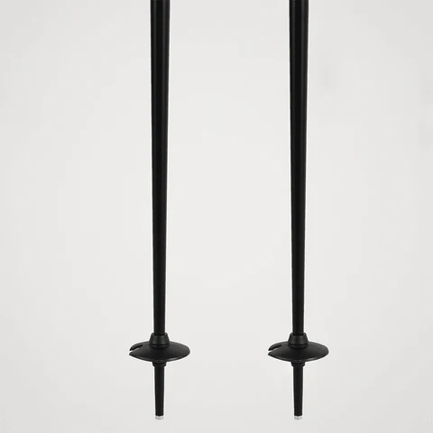 Deux bâtons de ski noirs avec des rondelles rondes et des extrémités pointues sur un fond blanc uni.