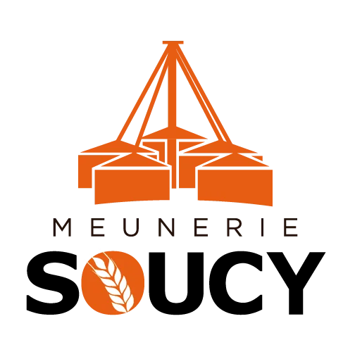 Logo représentant trois silos orange au-dessus des mots "MOUNTAIN SILO CO." en lettres noires, avec un cercle orange et une tige de blé blanche à l'intérieur de la lettre "O" de "SILO".