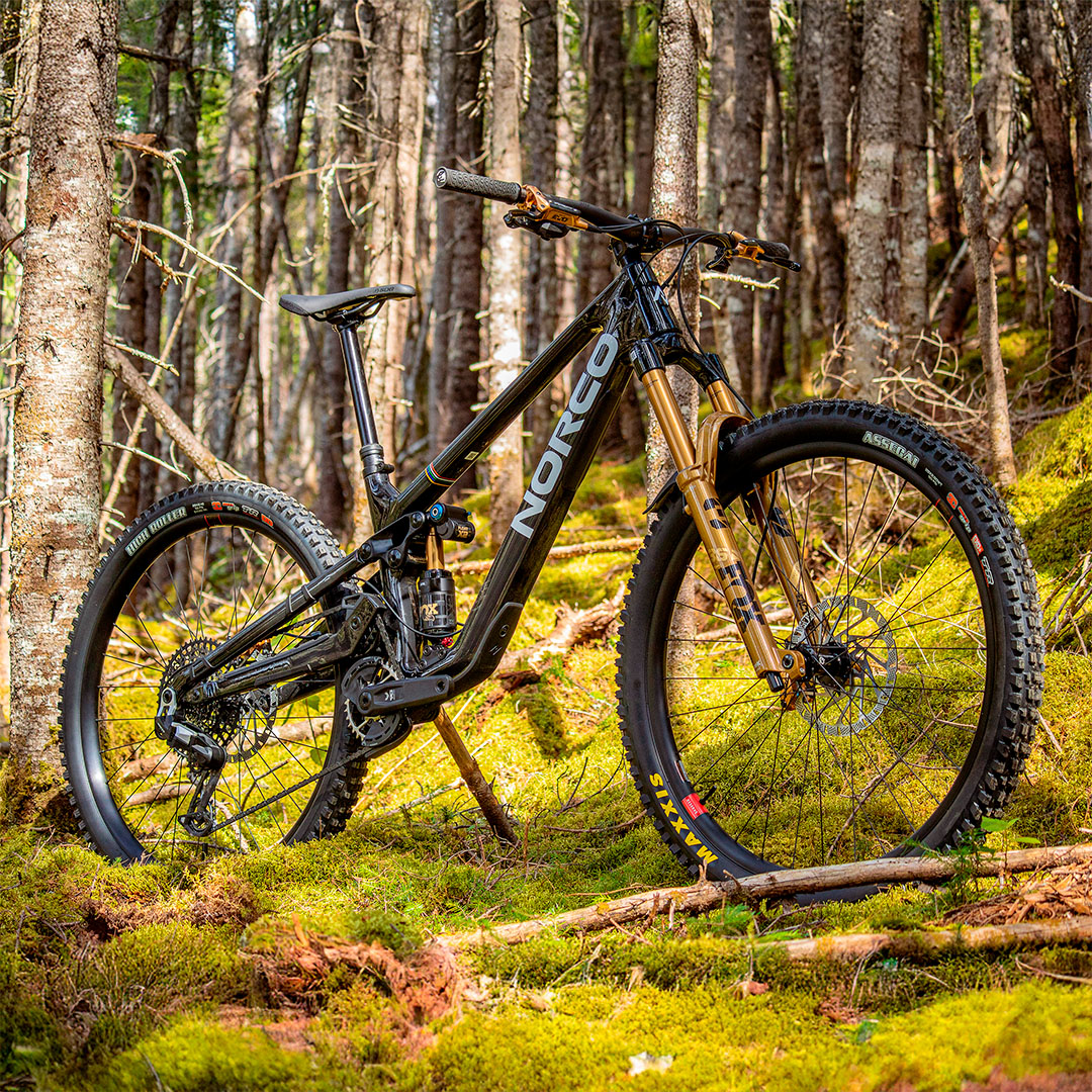 Un vélo de montagne Norco noir à suspension dorée est garé sur le sol moussu d'une forêt, entouré de grands arbres et de la lumière du soleil filtrant à travers les bois.