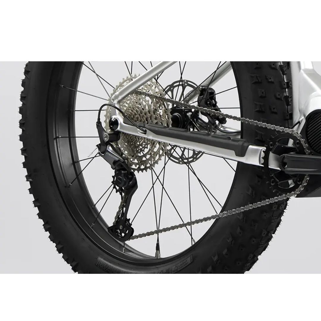 Gros plan de la roue arrière d'un vélo avec de gros pneus épais. L'image met en valeur les engrenages, la chaîne et le mécanisme du dérailleur, mettant en valeur les composants détaillés du système de transmission du vélo.