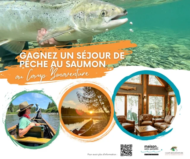 🏡 𝗚𝗔𝗚𝗡𝗘𝗭 𝗨𝗡 𝗦𝗘́𝗝𝗢𝗨𝗥 𝗗𝗘 𝗣𝗘̂𝗖𝗛𝗘 🎣

La Maison de soins palliatifs de la Baie-des-Chaleurs et @3campsengaspesie vous offrent la chance de gagner un séjour de pêche au saumon pour 2 personnes au Camp Bonaventure, d'une valeur de plus de 𝟭𝟬𝟬𝟬𝟬$!

𝗖𝗲 𝘀𝗲́𝗷𝗼𝘂𝗿 𝗰𝗼𝗺𝗽𝗿𝗲𝗻𝗱 :
• 3 jours complets de pêche avec le repas du midi servi au bord de la rivière
• Des guides professionnels et compétents
• L’hébergement en chambre double avec salle de bain privée
• Les repas, collations et boissons

L'intégralité des profits ira directement à la Maison de soins palliatifs de la Baie-des-Chaleurs.

Les billets sont offerts en magasin au coût de 100$ à la caisse de chasse et pêche. Dépêchez-vous, les quantités sont limitées et le tirage aura lieu le 𝟮𝟱 𝗮𝘃𝗿𝗶𝗹 𝟮𝟬𝟮𝟱!

𝗦𝗰𝗮𝗻𝗻𝗲𝘇 𝗹𝗲 𝗰𝗼𝗱𝗲 𝗤𝗥 𝗽𝗼𝘂𝗿 𝗲𝗻 𝘀𝗮𝘃𝗼𝗶𝗿 𝗽𝗹𝘂𝘀!
