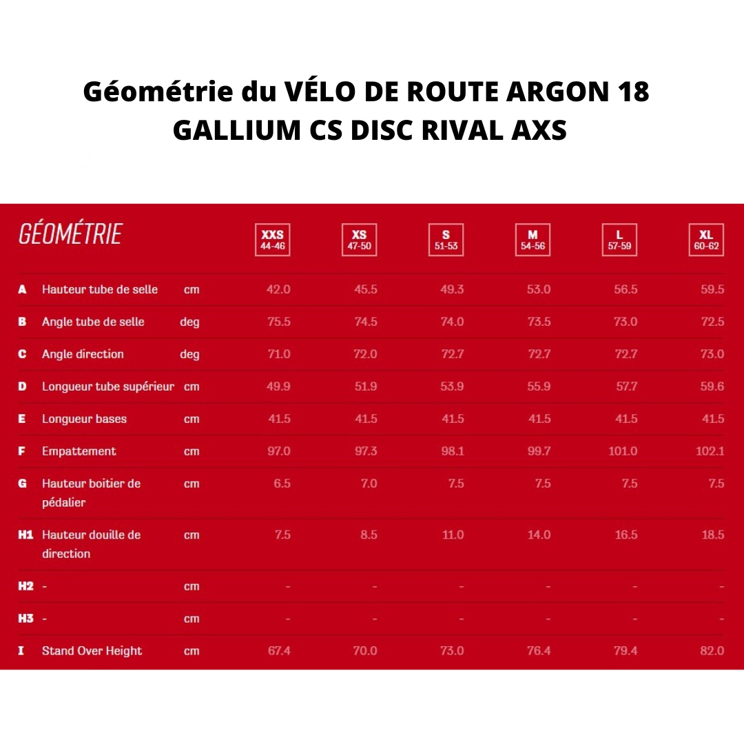 VÉLO DE ROUTE ARGON 18 GALLIUM CS DISC RIVAL AXS couleur SILVER/BLACK vu du tableau de la géométrie