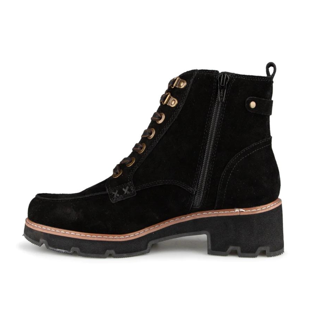 BOTTILLON URBAIN LACÉ ALBERTO POUR FEMME couleur noir vu du bottillon noir et brun de profil gauche