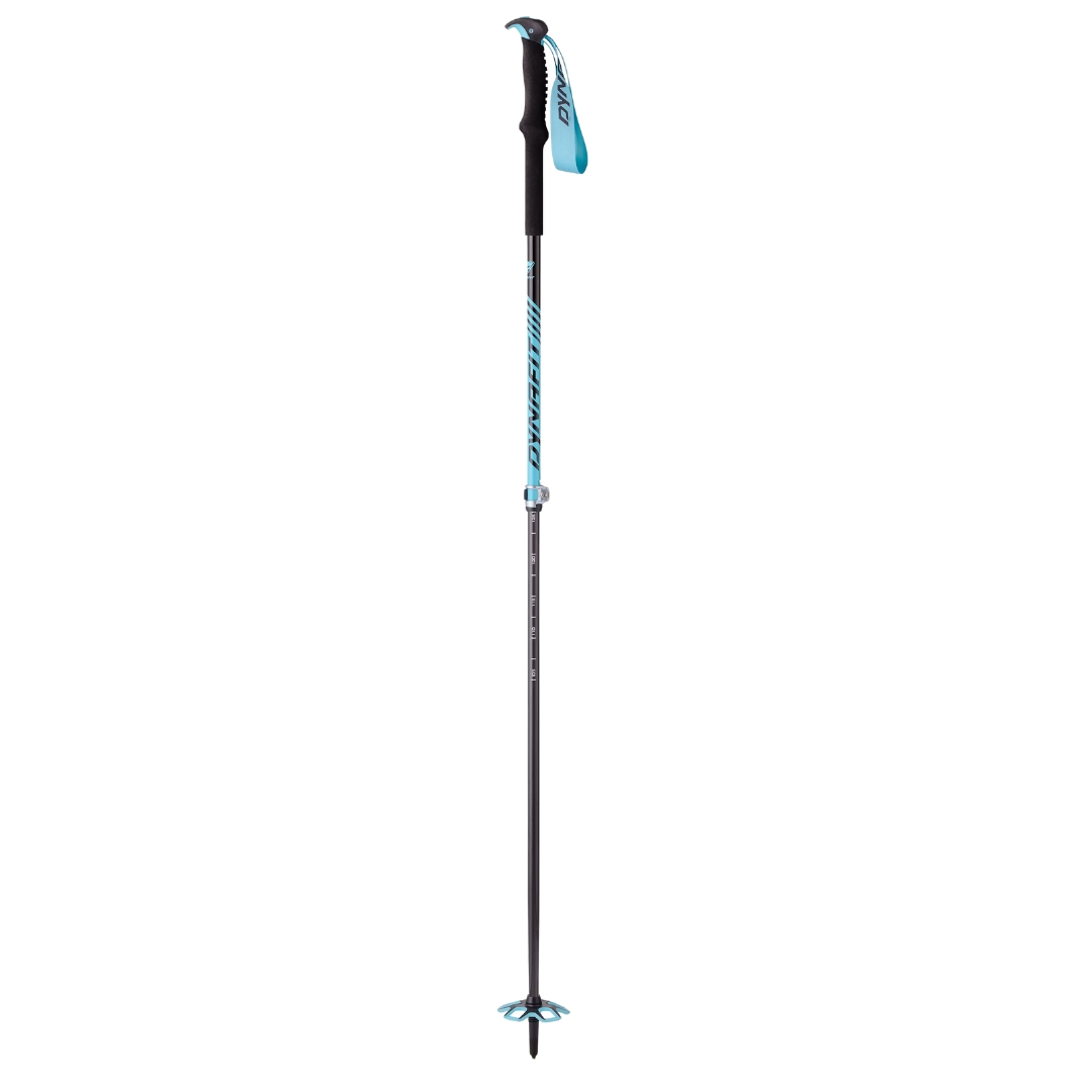BÂTON DE SKI HAUTE ROUTE DYNAFIT FREE VARIO  couleur 8210-SILVRETTA vu du bâton noir et bleu