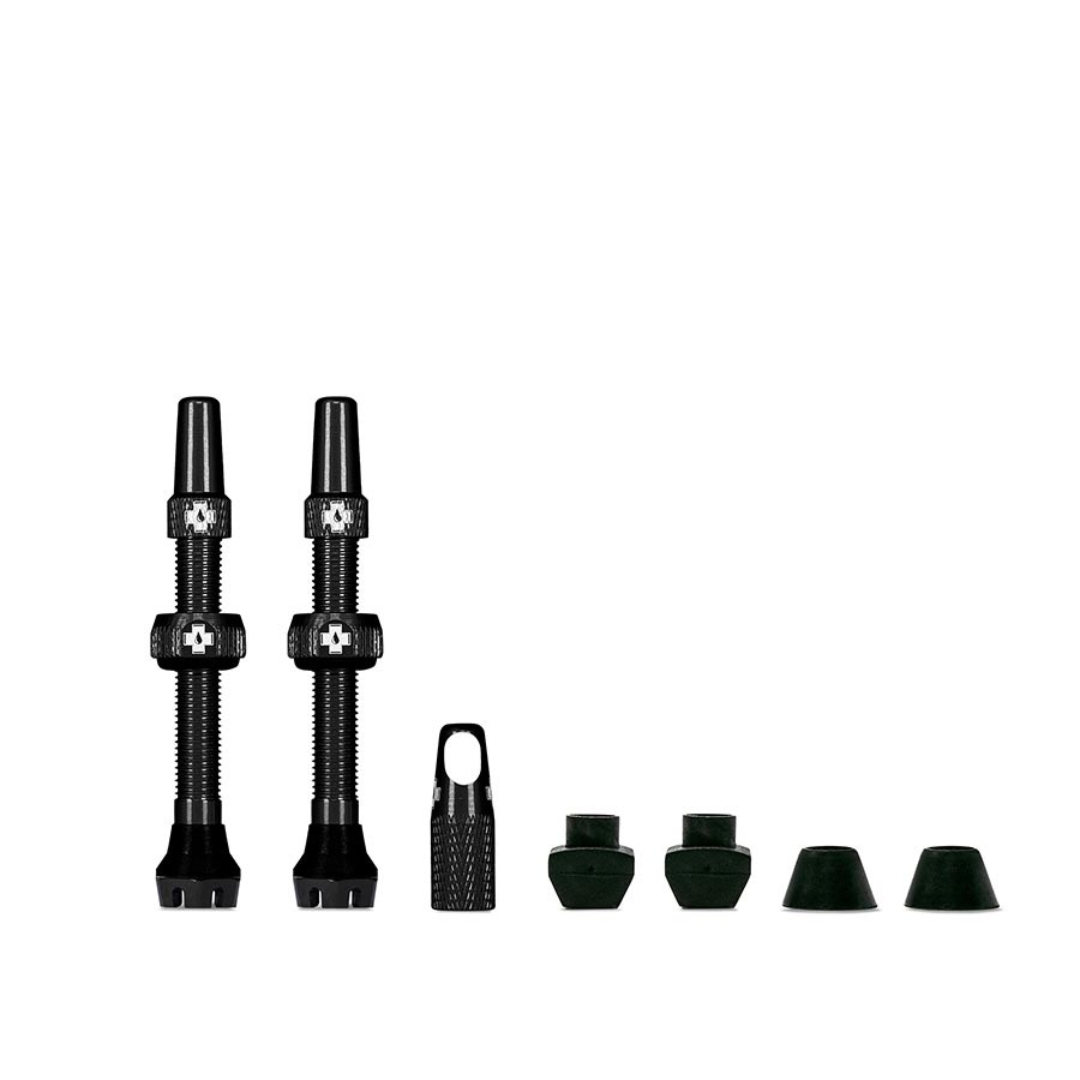 Paire de Valves Tubeless Syncros Presta Noir